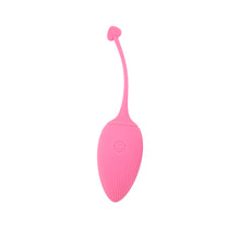 Cargar imagen en el visor de la galería, Ilustración del juguete sexual huevo vibrador con detalles del control remoto