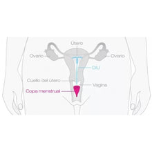 Cargar imagen en el visor de la galería, copa menstrual sexshop lina betancurt